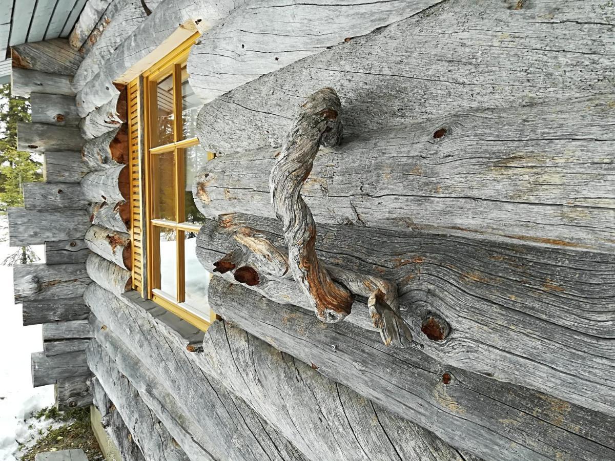 Logwood Chalet Luosto Dış mekan fotoğraf