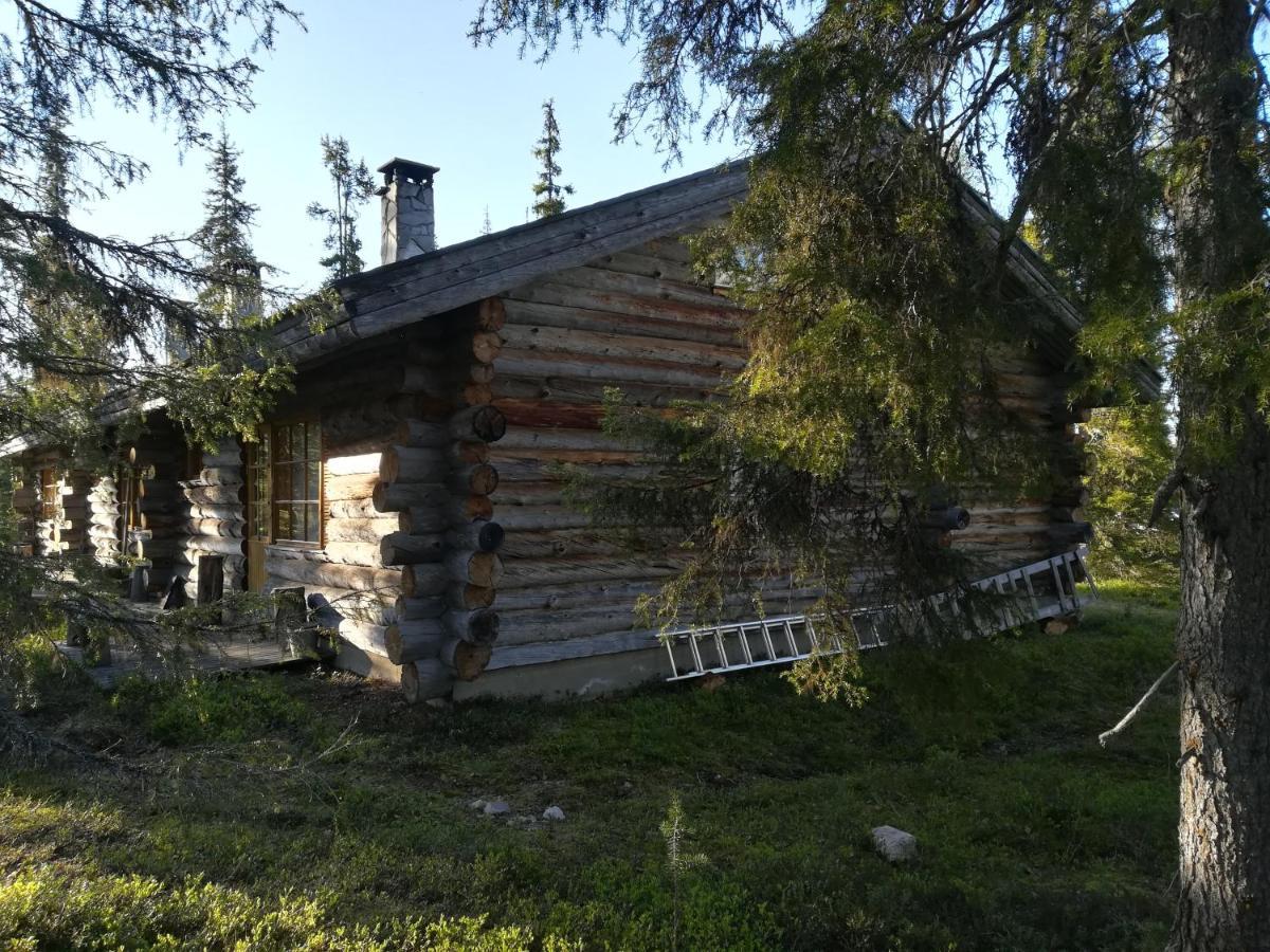 Logwood Chalet Luosto Dış mekan fotoğraf