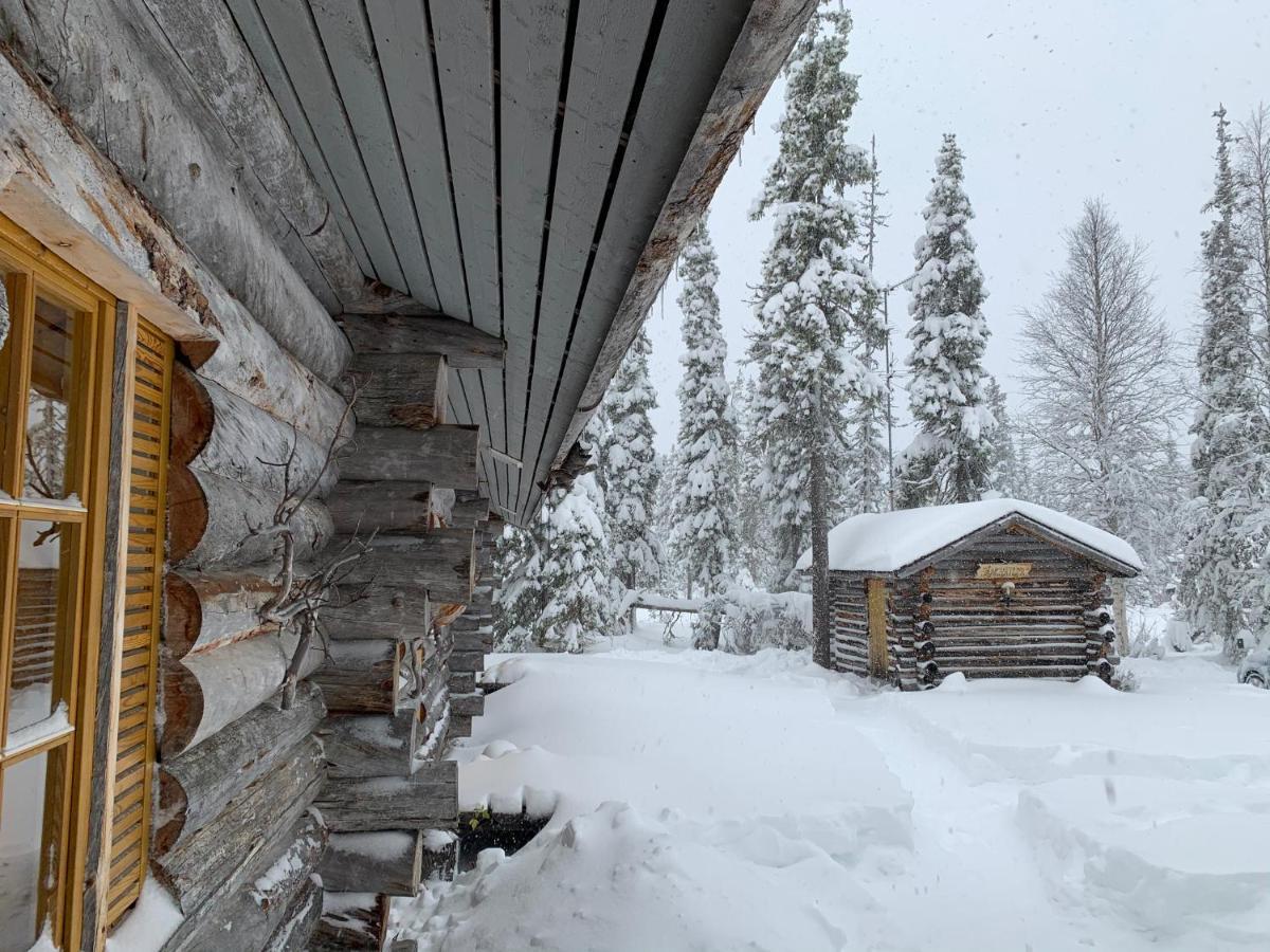 Logwood Chalet Luosto Dış mekan fotoğraf